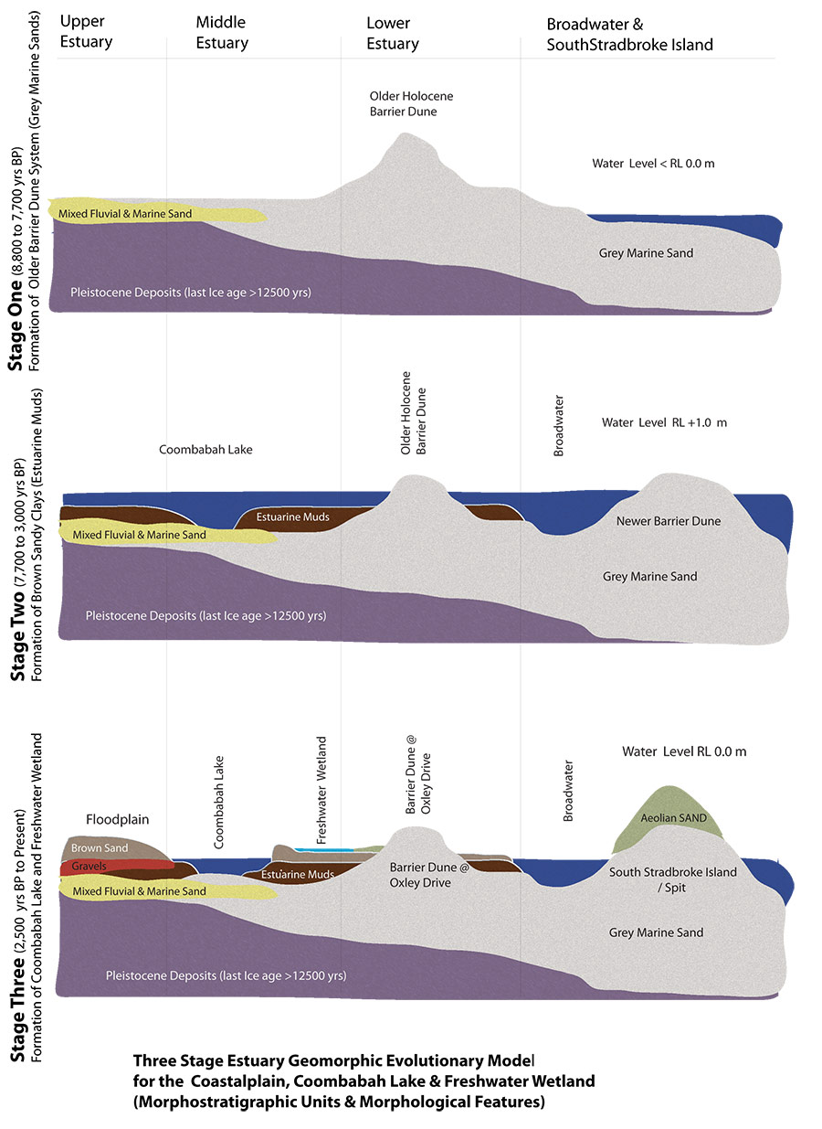 ssMorphostratigraphic-Evolution-of-Wetland